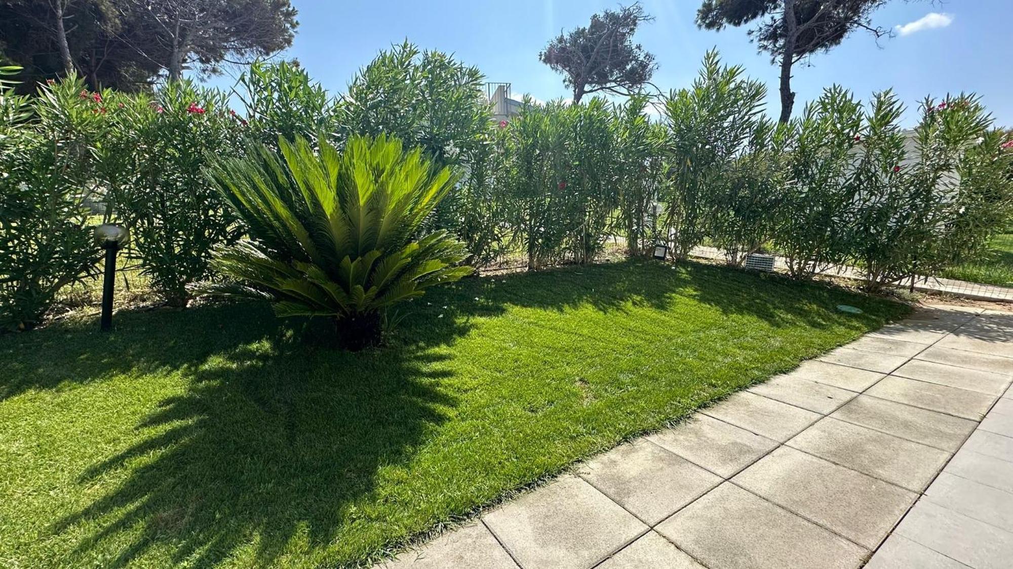 סאסארי Magnifique Villa Neuve En Bord De Mer מראה חיצוני תמונה